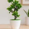 Artificial Plants with Flowers in Jaleswar – Premium Décor |Trusted  Krishna Home Decor