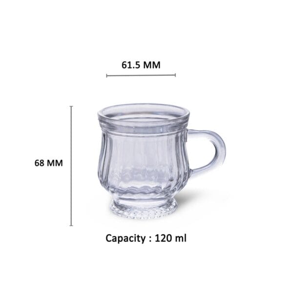 Yera Premium Glass Tea Cup Set of 6 (120ml) – Clear Transparent Small Glass Chai Cups with Handle for Home, Office & Cafe